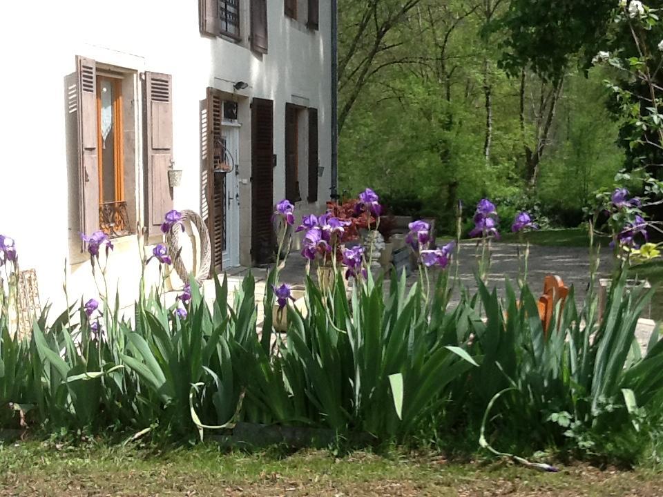 Caylus Domaine La Rose Bed & Breakfast エクステリア 写真